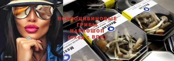 Альфа ПВП Медногорск
