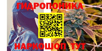 ПСИЛОЦИБИНОВЫЕ ГРИБЫ Гагарин