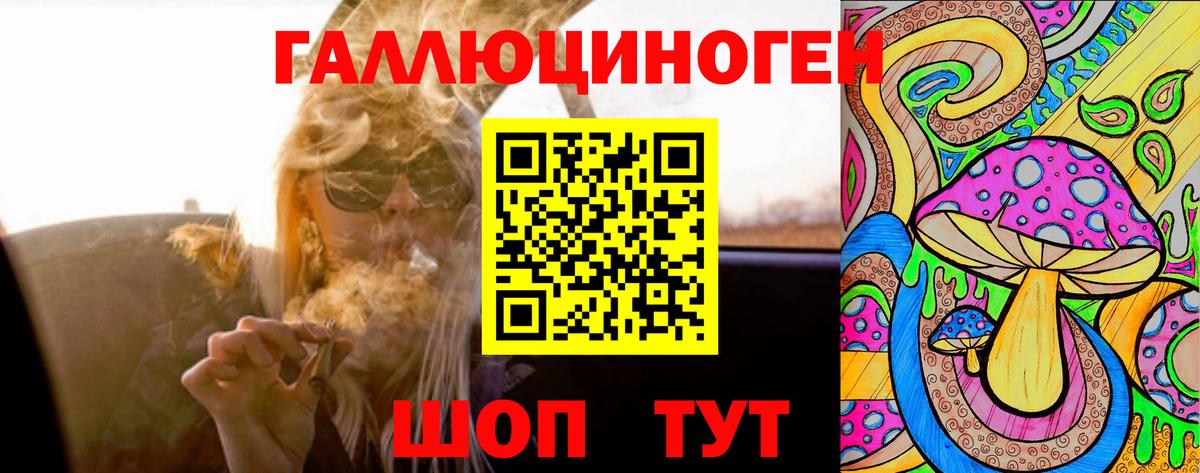 Псилоцибиновые грибы Cubensis Звенигород
