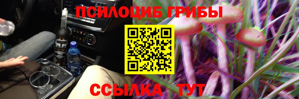 магазин  наркотиков  Галлюциногенные грибы Cubensis  Звенигород  Вход с VPN  Псилоцибиновые грибы прущие грибы 
